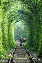 Tunnel Of Love Pics